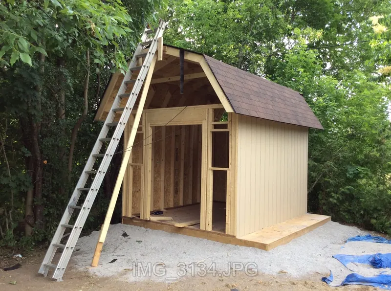 A gambrel-roof shed under construction, framed and partly sided, with a ladder leaning against it.
